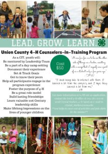 Cover photo for Too Old for Camp, Too Young to Work: 5 Things Teenagers Can Do This Summer