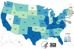 Cover photo for Salmonella Outbreaks Linked to Backyard Chickens