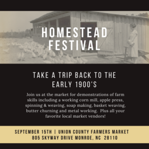 Homestead Festival Flyer
