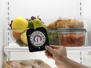refrigerator thermometer