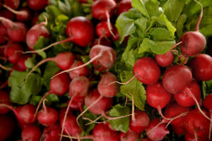 radishes