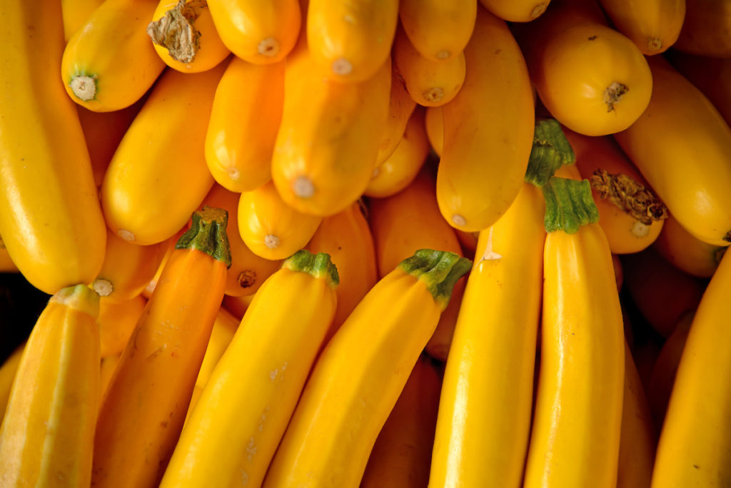 yellow summer squash