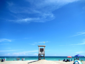 Beach Scene