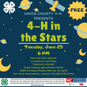 4-H In The Stars Flyer