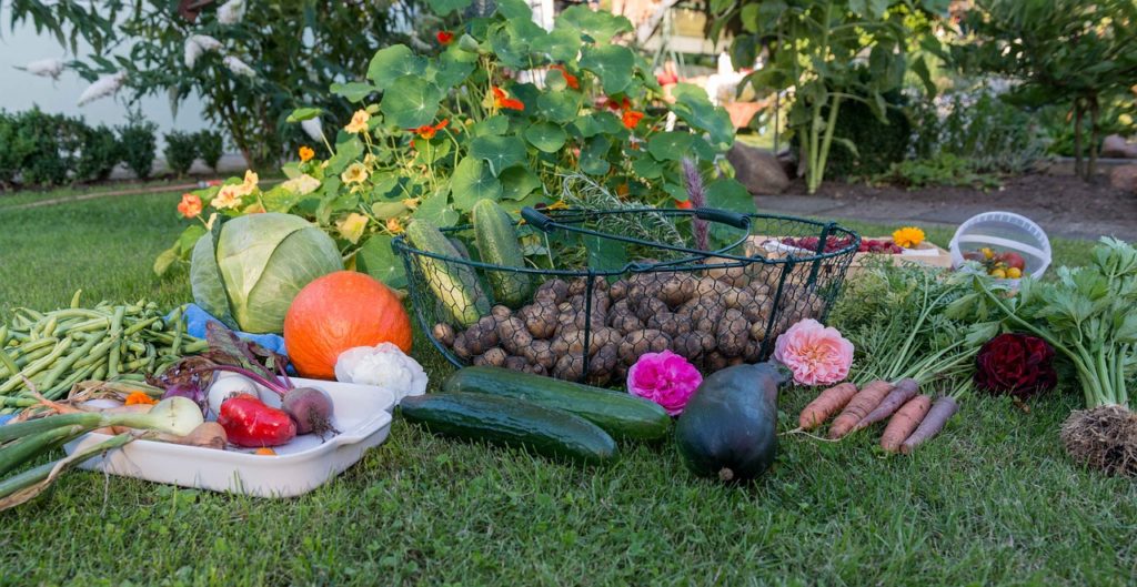 Fall Produce in basket photo credit pixabay