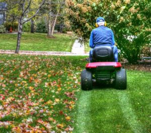 mulching leaves with a lawnmower