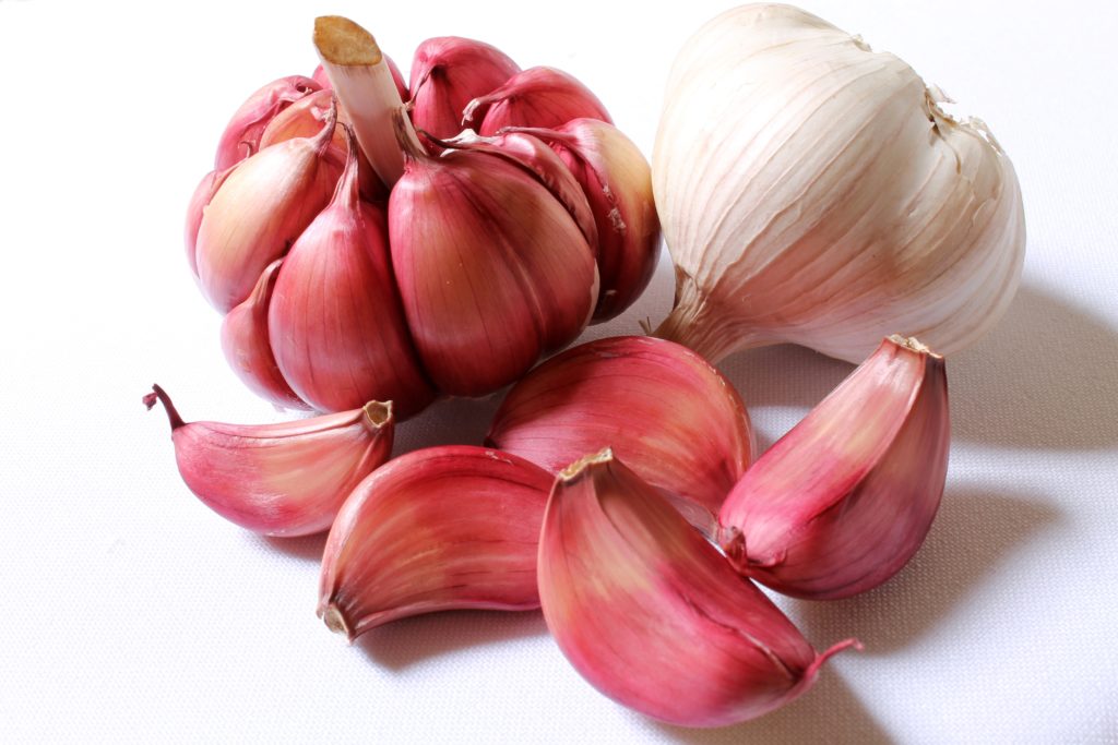 Cloves and Bulbs of the Garlic