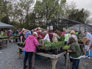 Residents shopping at 2019 Master Gardener Plant Sale