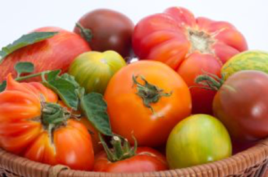 Basket of tomatoes
