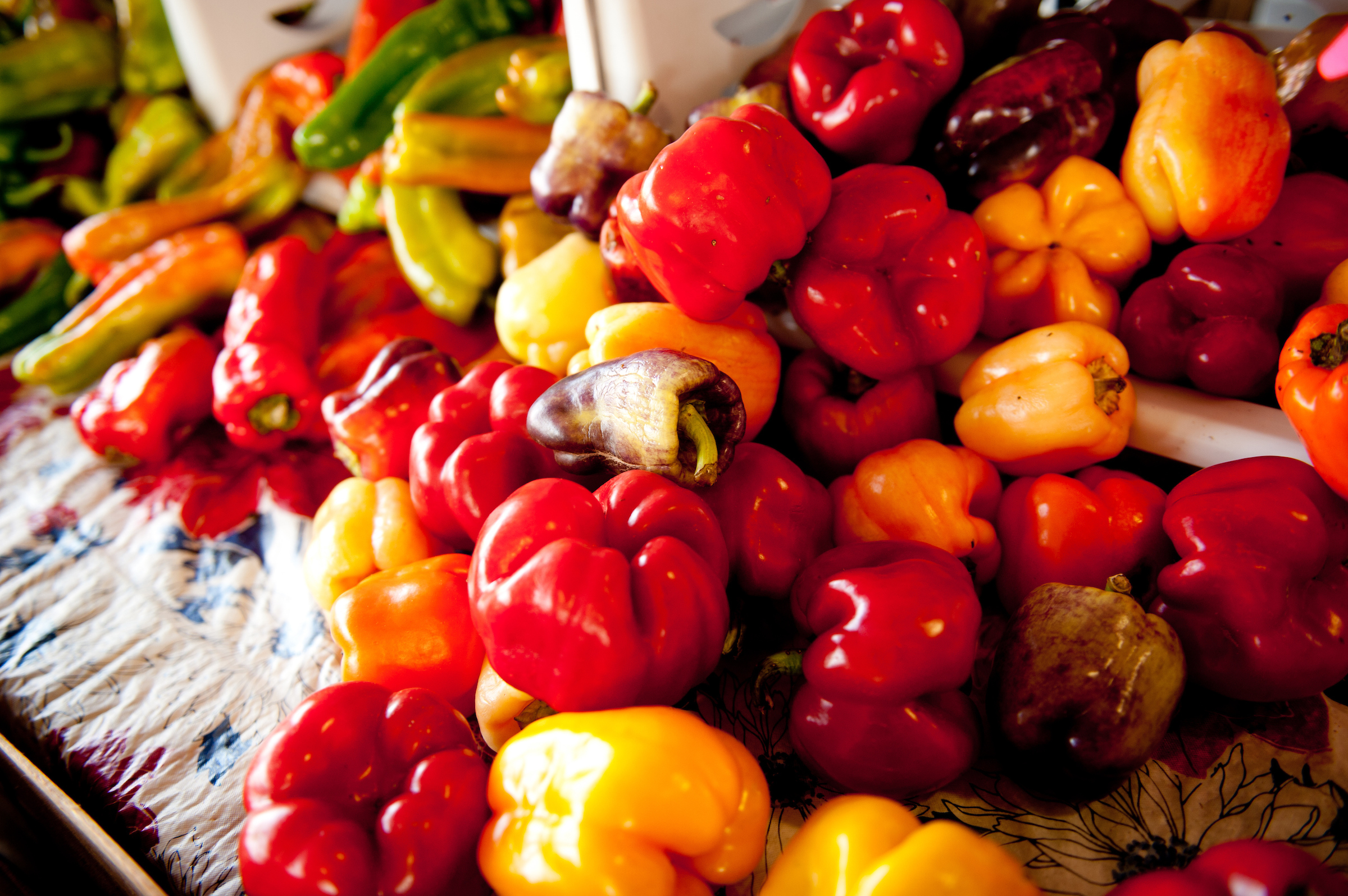 variety of peppers for sale at farmers market