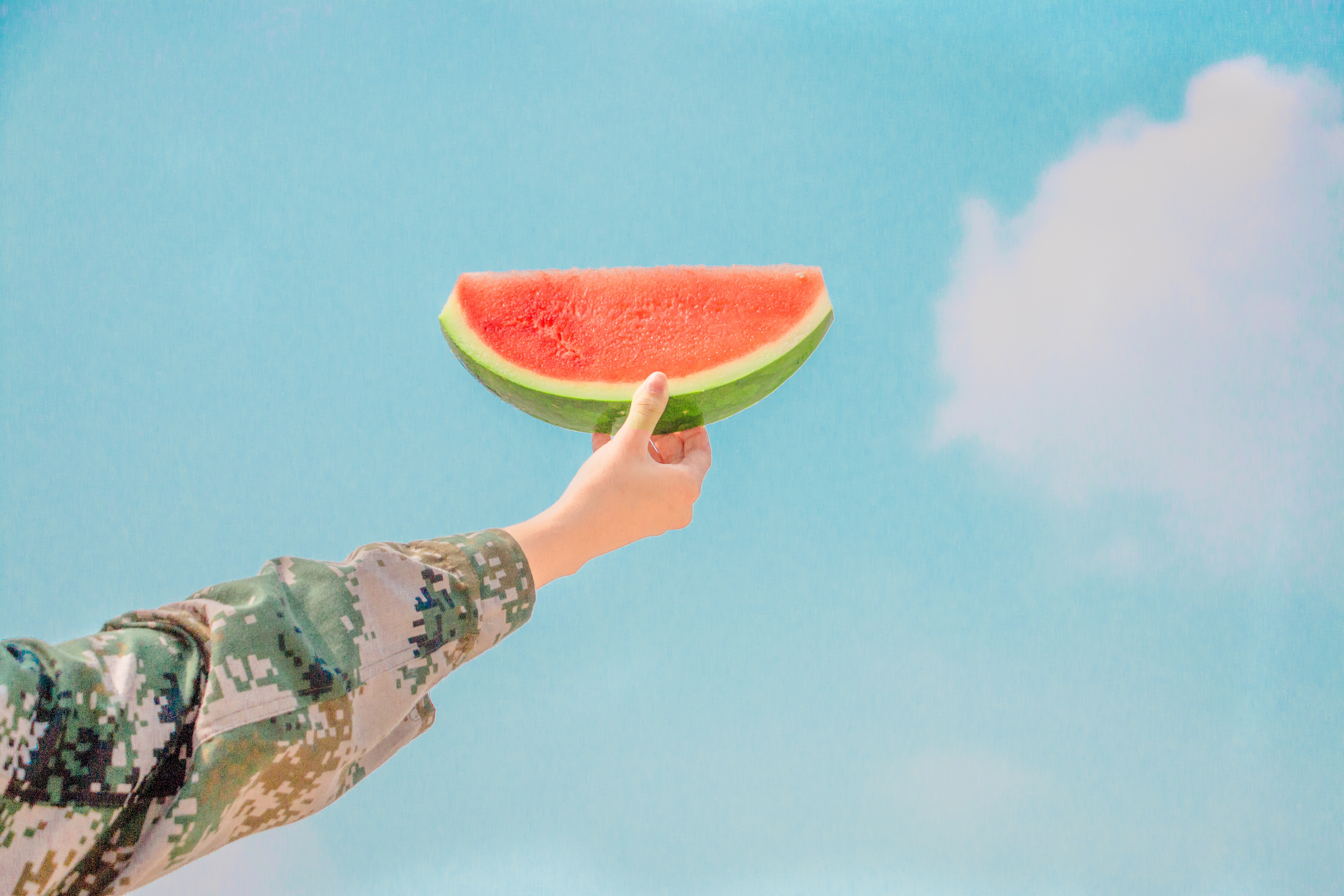 Watermelon in Hand