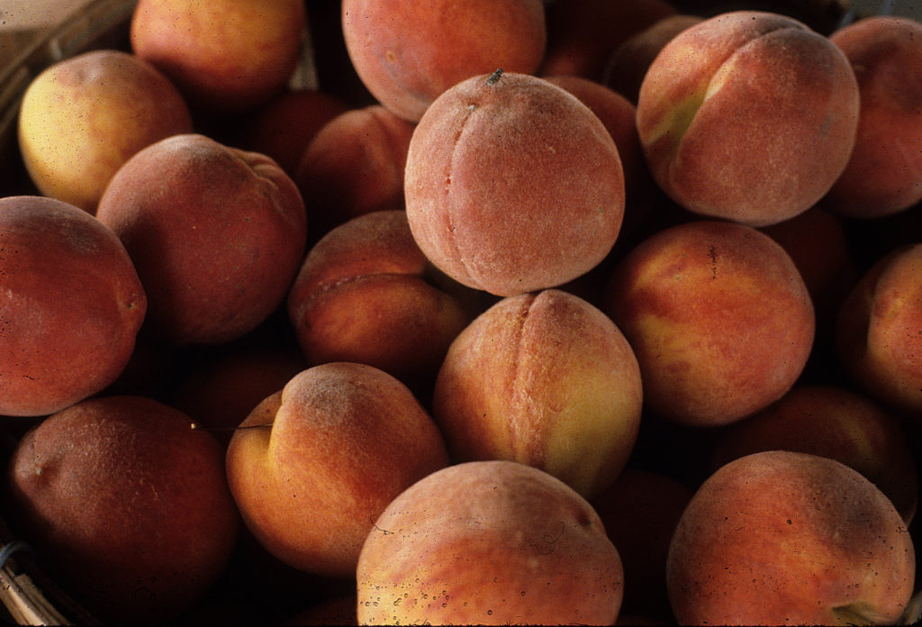 Bushel of Peaches