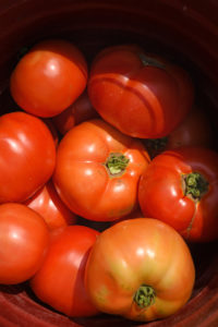 Tomatoes in basket