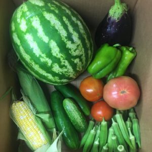 Produce box filled with peppers, corn, cucumbers, tomatoes, okra, eggplant and watermelon