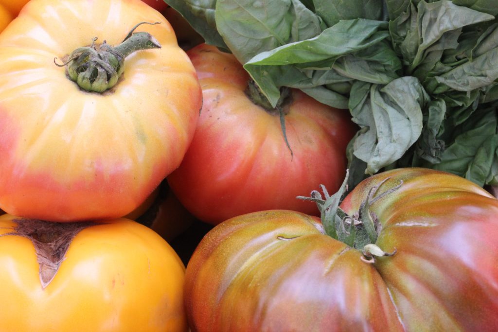 Heirloom Tomatoes