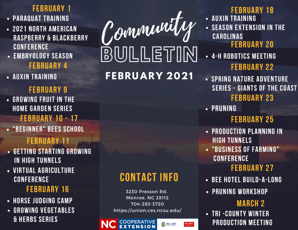 Community Bulletin - February 2021
