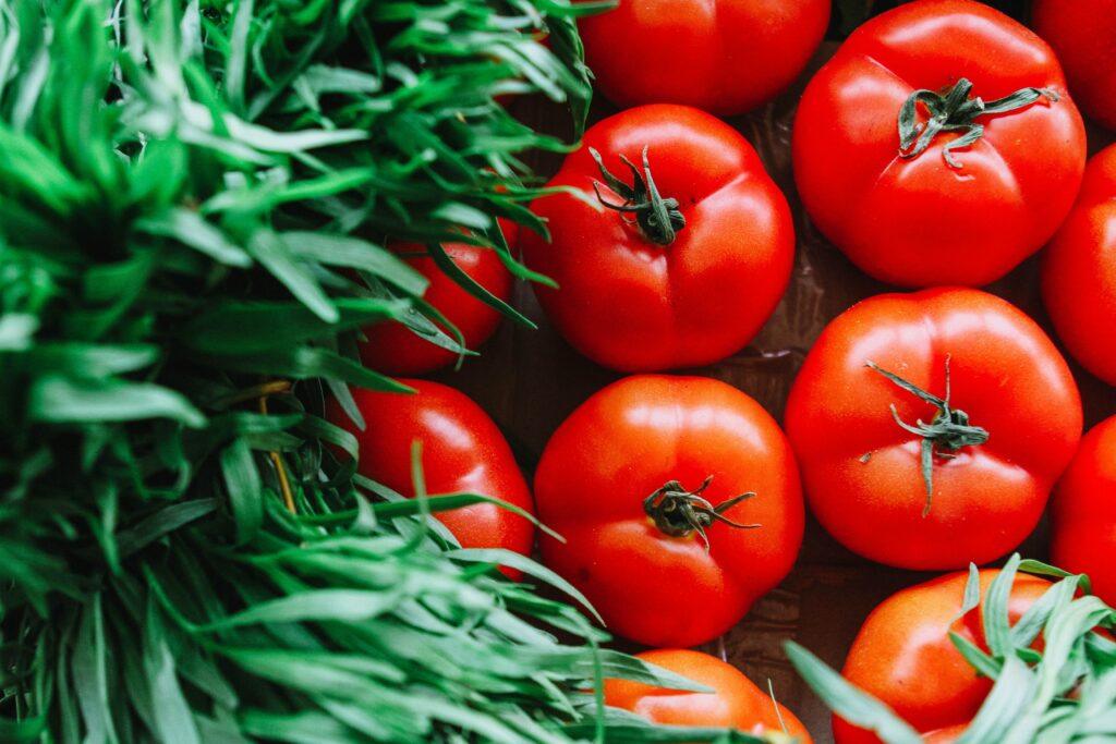 red tomatoes lined up with grass beside them