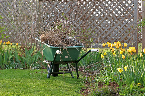 A wheelbarrow in the garden filled with branches and weeds.