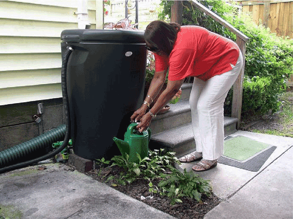 Woman in Pink Shirt and White Pants holding a water pot standing near a black rain barrel