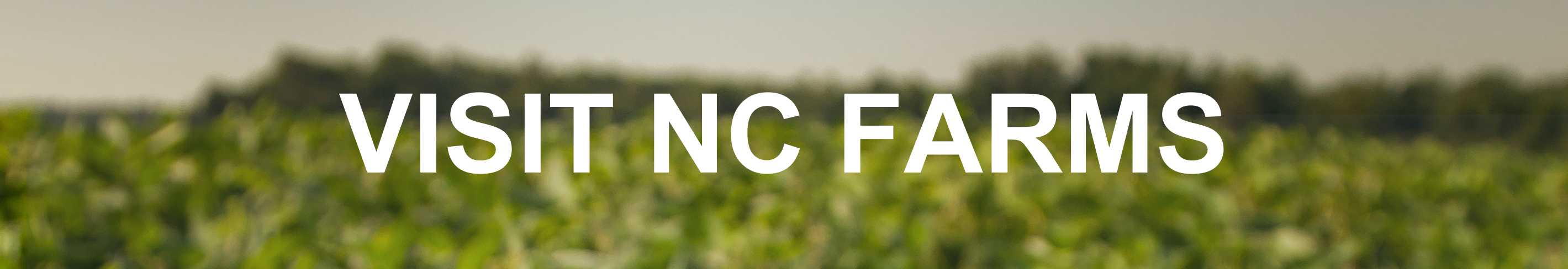 Visit NC Farms