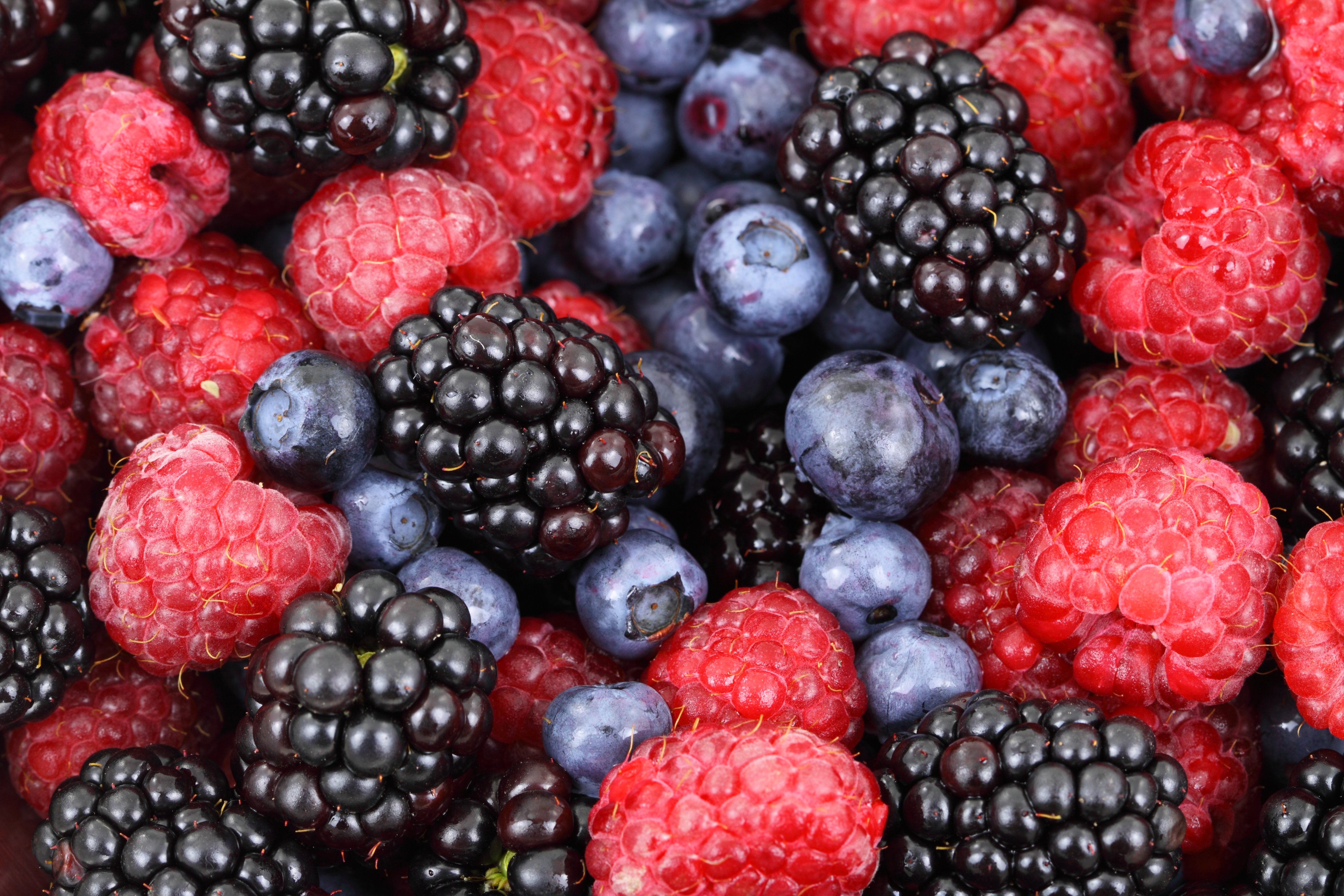 Blueberries, Raspberries and Blackberries in a Pile. 