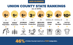 Union County Rankings Chart