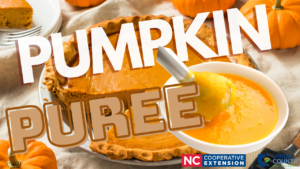 Pumpkin Puree