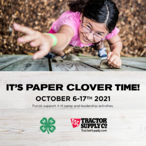 Advertisement for Paper Clover