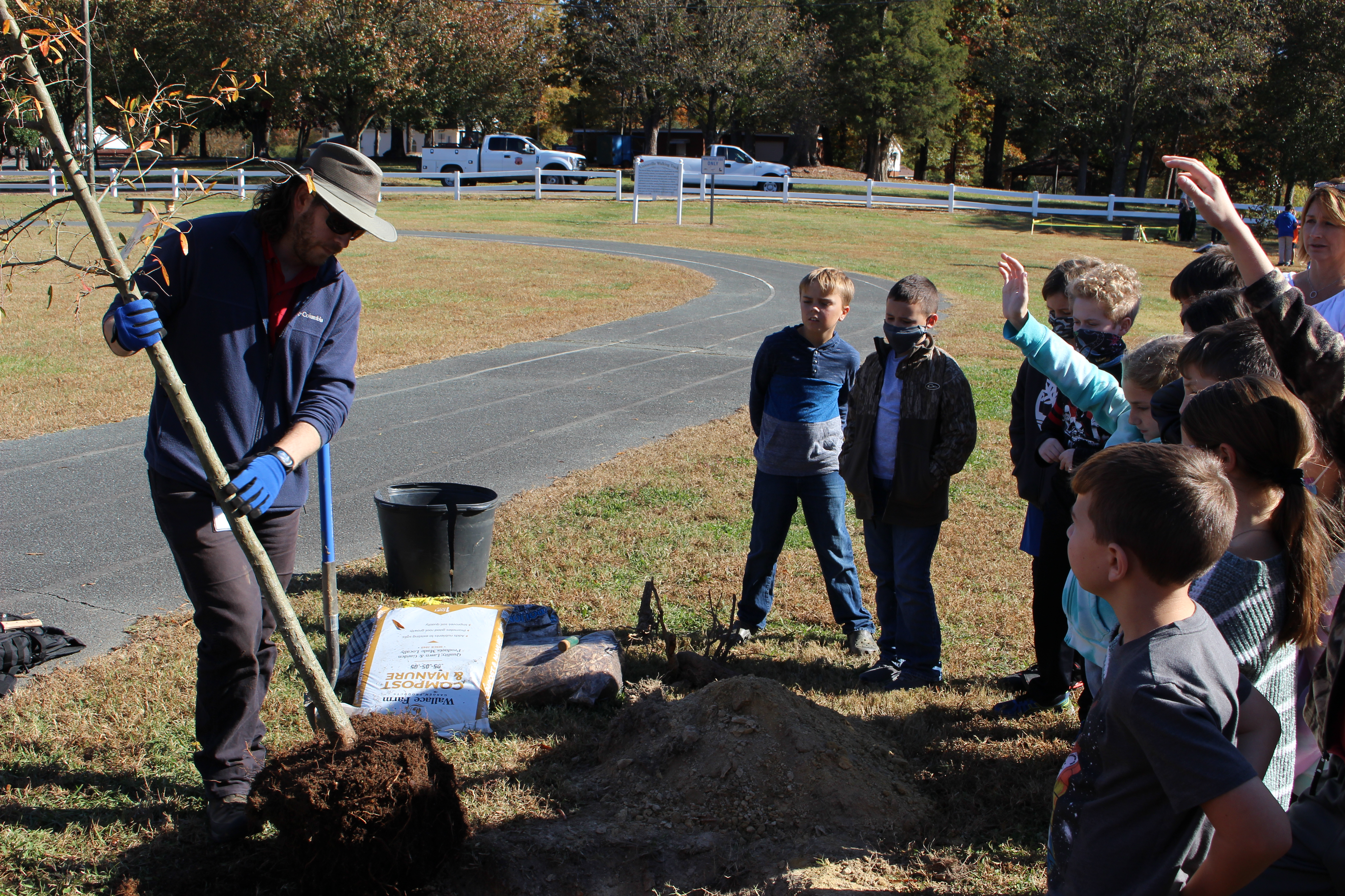 Planting Tree