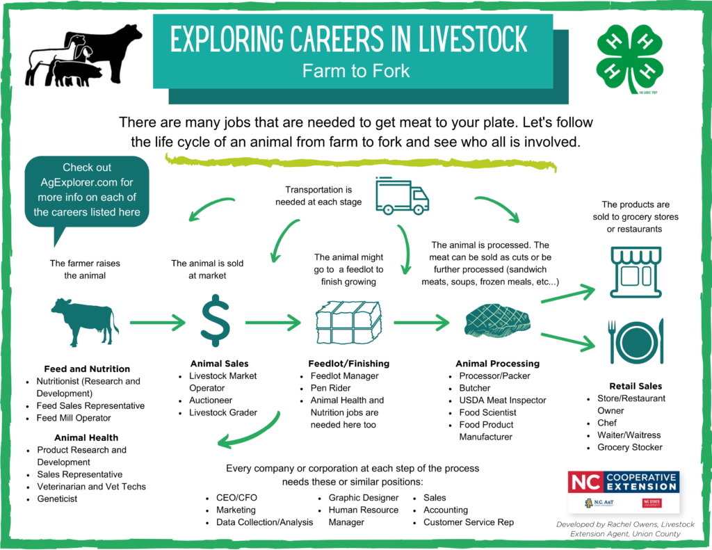 Careers In The Livestock Industry N C Cooperative Extension   Exploring Careers In Livestock Handout 1024x791 