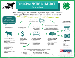 Chart for Livestock Careers