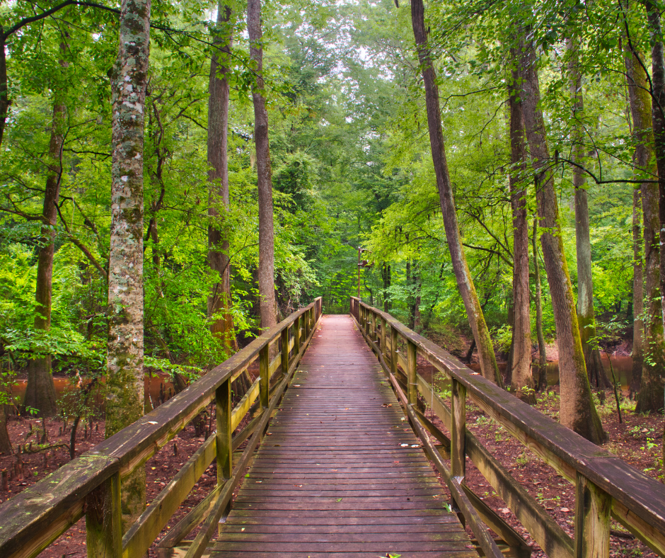 Congaree National Park