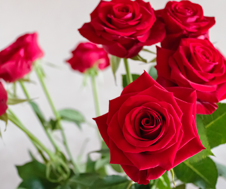 24 Stalks Fresh-Cut Roses🌹Heart-Shaped❤️ Flower Bouquet with a LV  design paper wrapper | Rose Flower | Flower Bouquet | Flower | Flowers |  Rose 