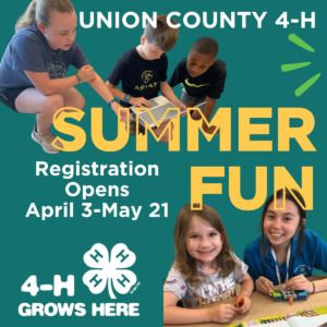 Cover photo for Union County 4-H 2023 Summer Fun is Live!