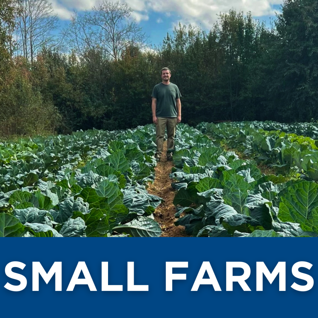 Small Farms, Union County, North Carolina, How to Start a Small Farm, Man Standing in Field, Growing, Charlotte, Agriculture Resources, 