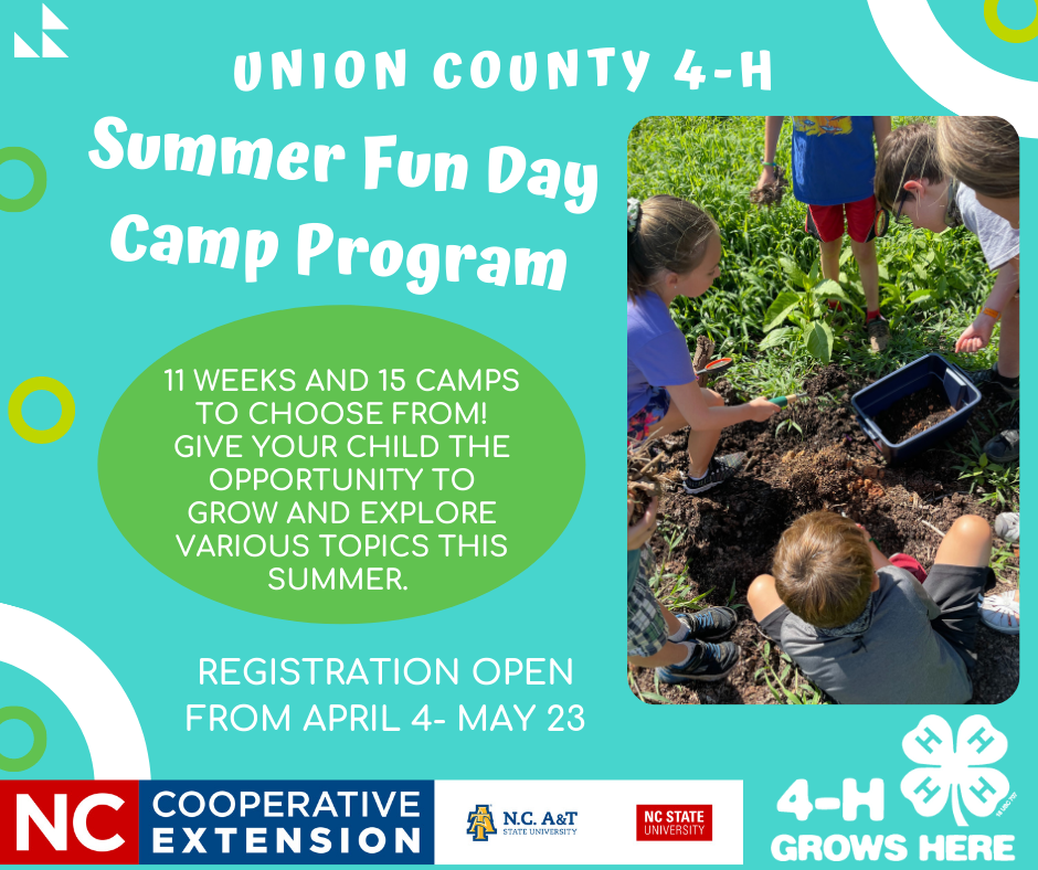 Summer Fun Day Camp Info Graphic