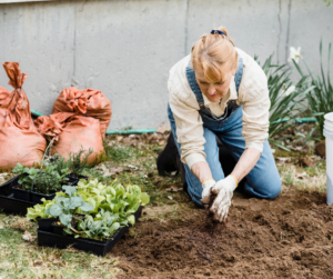 Gardening, Gardening Questions, How to Garden, North Carolina Gardens, Gardening in the Home,