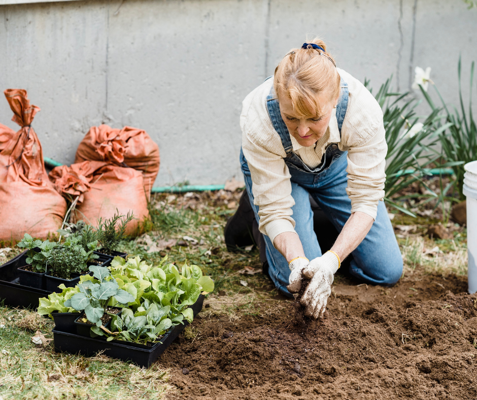 Your Gardening Questions Answered | N.C. Cooperative Extension