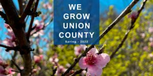 We Grow Union County - Spring 2022