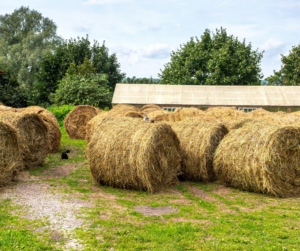 Hay Storage, How to Store Hay, Storing Hay,