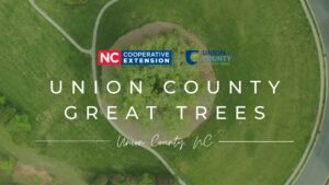 Union County Great Trees Program