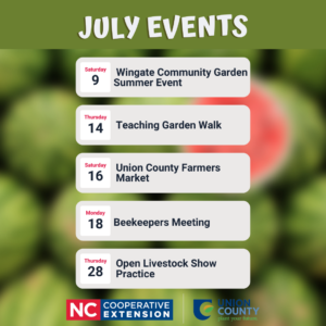 Julu Extension Events, Things to Do Near Me in July, July Family Friendly, Family Friendly Events Near Me