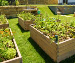 Garden Beds, How to Make a Garden Bed, Raised Garden Beds,