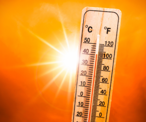 Heat Illness, Heat, Summer Heat, Southern Heat, Heat in NC, What is the Weather in NC