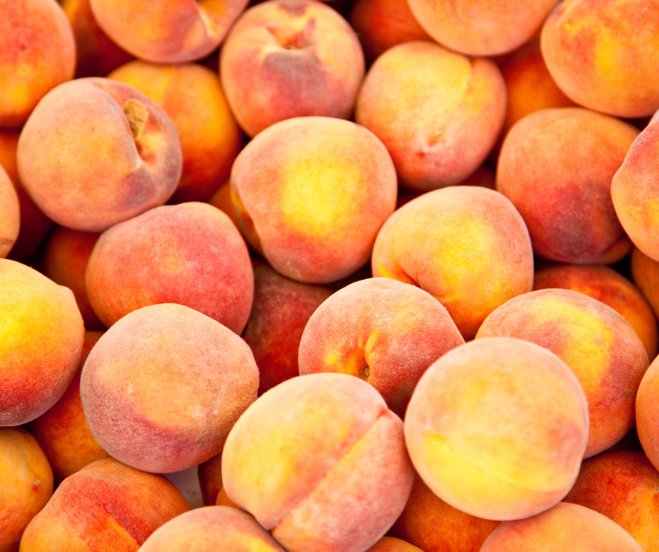 Picking a Peach, Peaches, NC Peaches, SC Peaches, Georgia Peaches, How Do You Know When a Peach is Ripe, Ripe Peaches, Farmers Market Peaches, Growers Market,