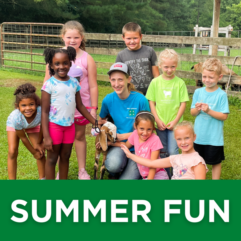 Summer Activities for Kids Charlotte, Summer Activities for Kids Near Me, Things My Kid Can Do This Summer, How to Help My Child Excel This Summer, Summer Learning Programs Near ME, 