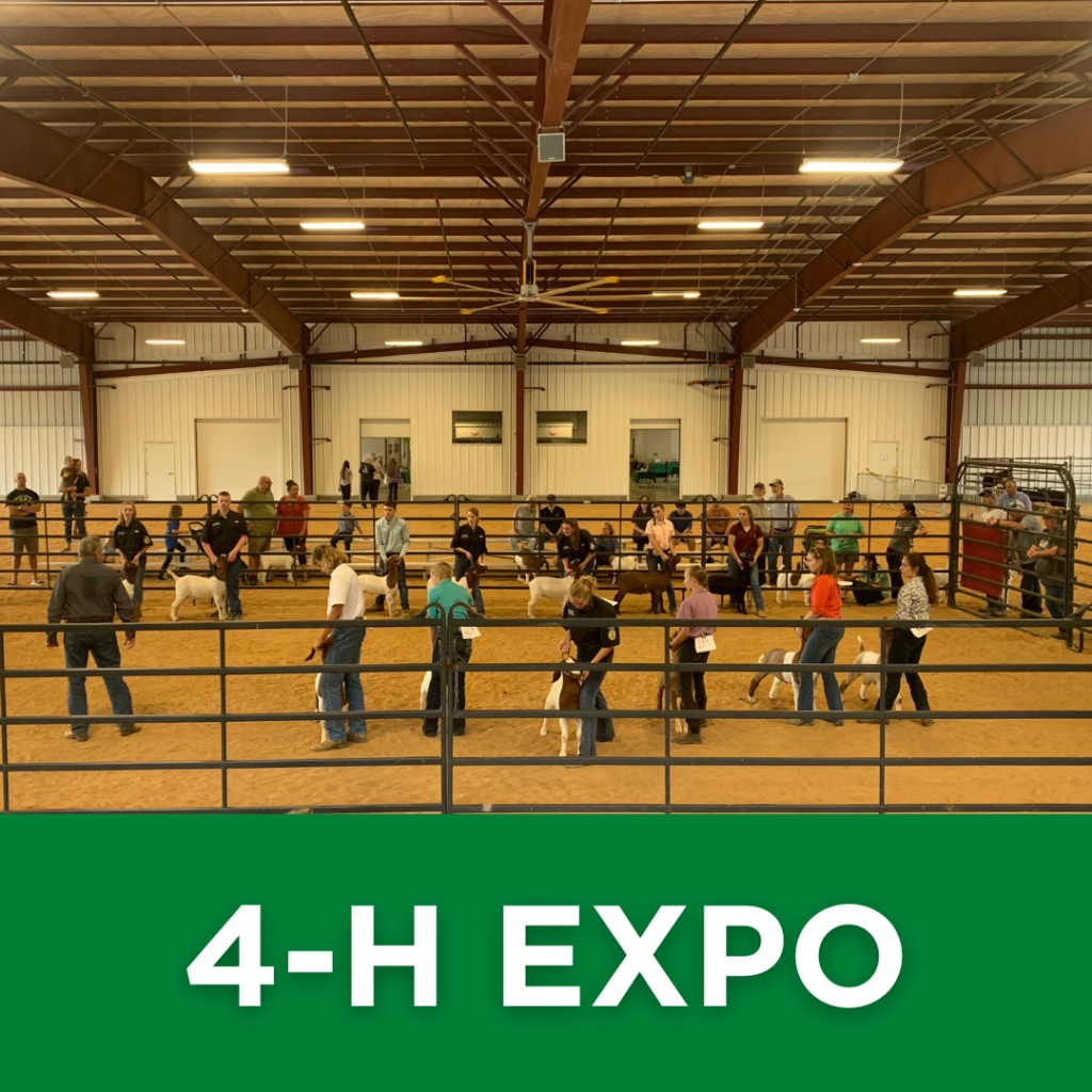4-H Awareness Event Providing Families with Information and Resources, Creative Arts Competition, Livestock Show Near Me, Youth Livestock Competition, Youth Programs Available Charlotte, Youth Programs Available NC