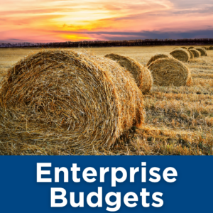 Enterprise Budgets Tile