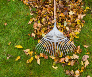 Fall Lawn Care, Caring For Your Lawn, Soil Testing Kits, Free Soil Testing, Soil Testing Kits, NC Soil, NC Agriculture,