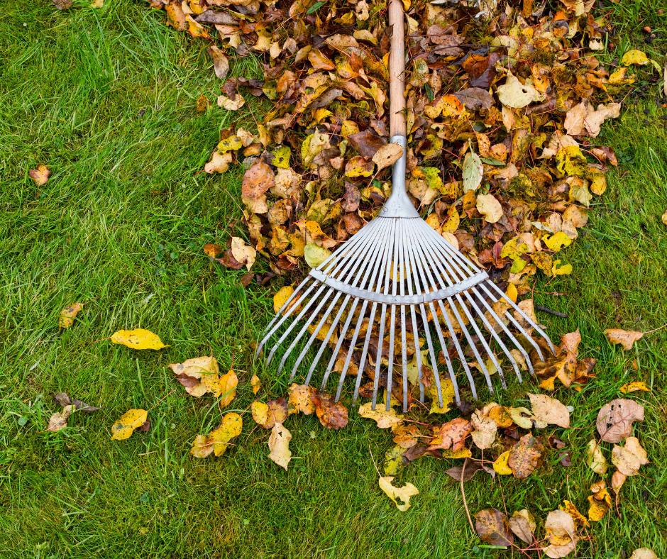 Fall Lawn Care, Caring For Your Lawn, Soil Testing Kits, Free Soil Testing, Soil Testing Kits, NC Soil, NC Agriculture, 